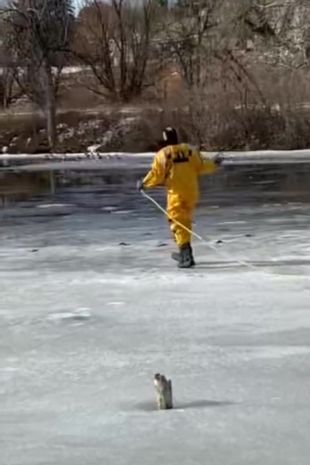 Heroic firefighter rescues dog from freezing water after it chased a goose  into a pond - Mirror Online