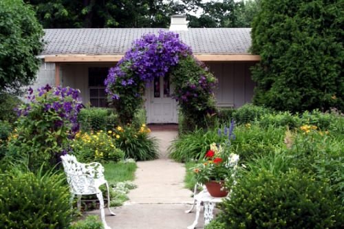 Beautiful Ideas with Clematis in the Garden 7