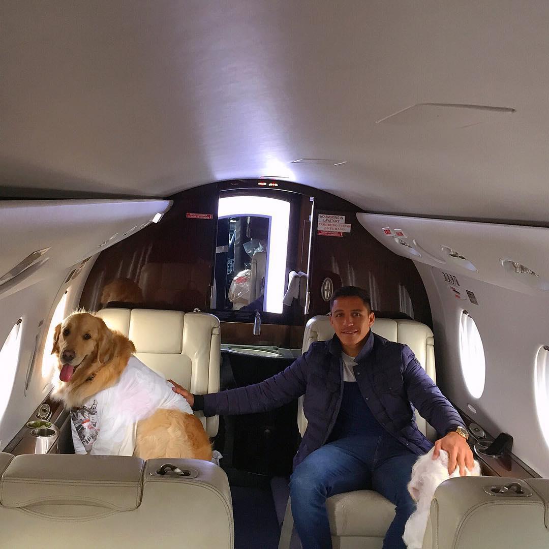  The two dogs love to travel in the skies