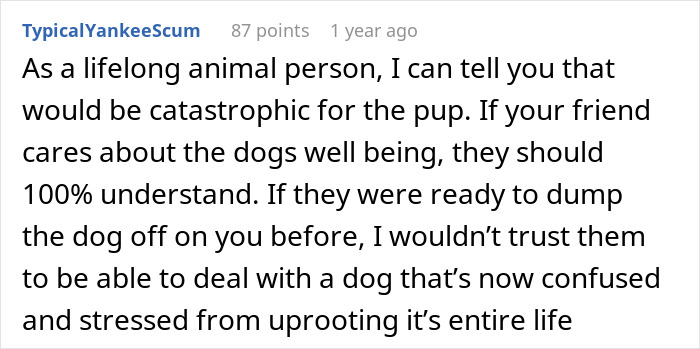 “She Never Barks And Is The Best Hiking Buddy Ever”: Guy Has Had His Friend’s Dog For 2.5 Years When Friend Asks Him To Ship Her Back, Guy Refuses